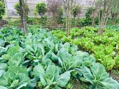 -洪湖家庭农场·团建·露营·会议