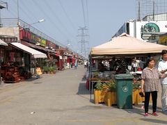 -中环花鸟鱼虫市场