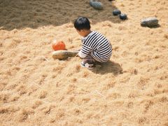 -五龙山野生动物王国