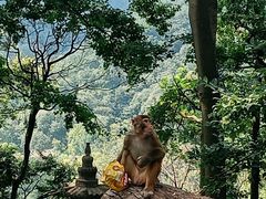 -黔凤辣子鸡