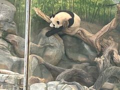 -武汉动物园