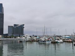 -日照世帆赛基地