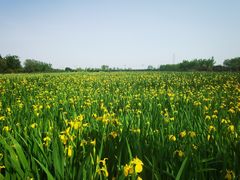 -永定河休闲森林公园