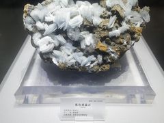 -湖南省地质博物馆