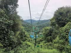 -野象谷景区