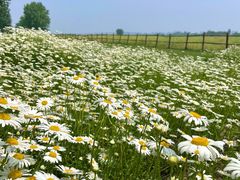 -汉长安城未央宫国家考古遗址公园