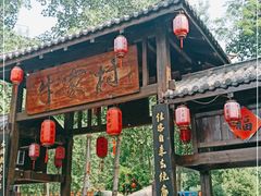 -合肥滨湖国家森林公园