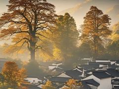-塔川景区
