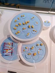 -潮宏基(大商新玛特店)