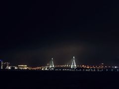-万绿园