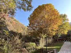 -秦岭终南山世界地质公园翠华山景区