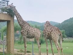 -哈尔滨北方森林动物园