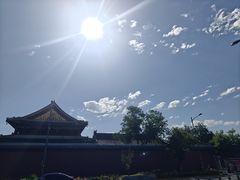 -美联众合动物医院·24h转诊中心