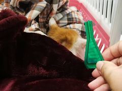 -纳吉亚猫专科动物诊疗中心(蒋宅口分院)