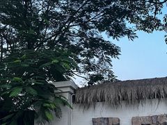 -自由生长植物工作室(深港花卉中心店)