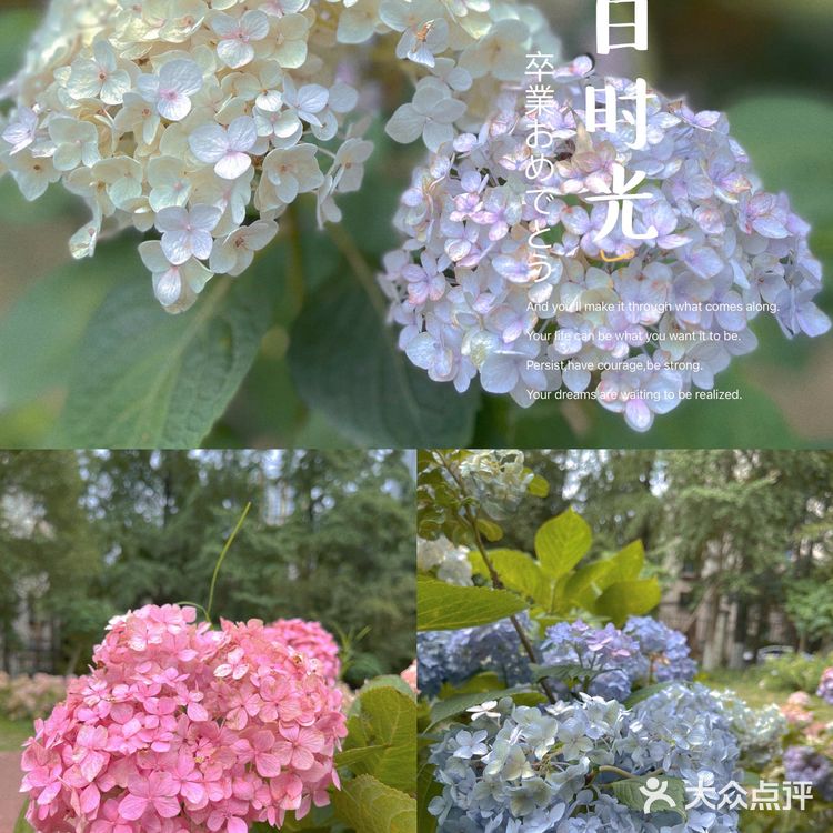 成都|遛娃|拍照📷|约会还不知道去哪吗？塔子山⛲️公园