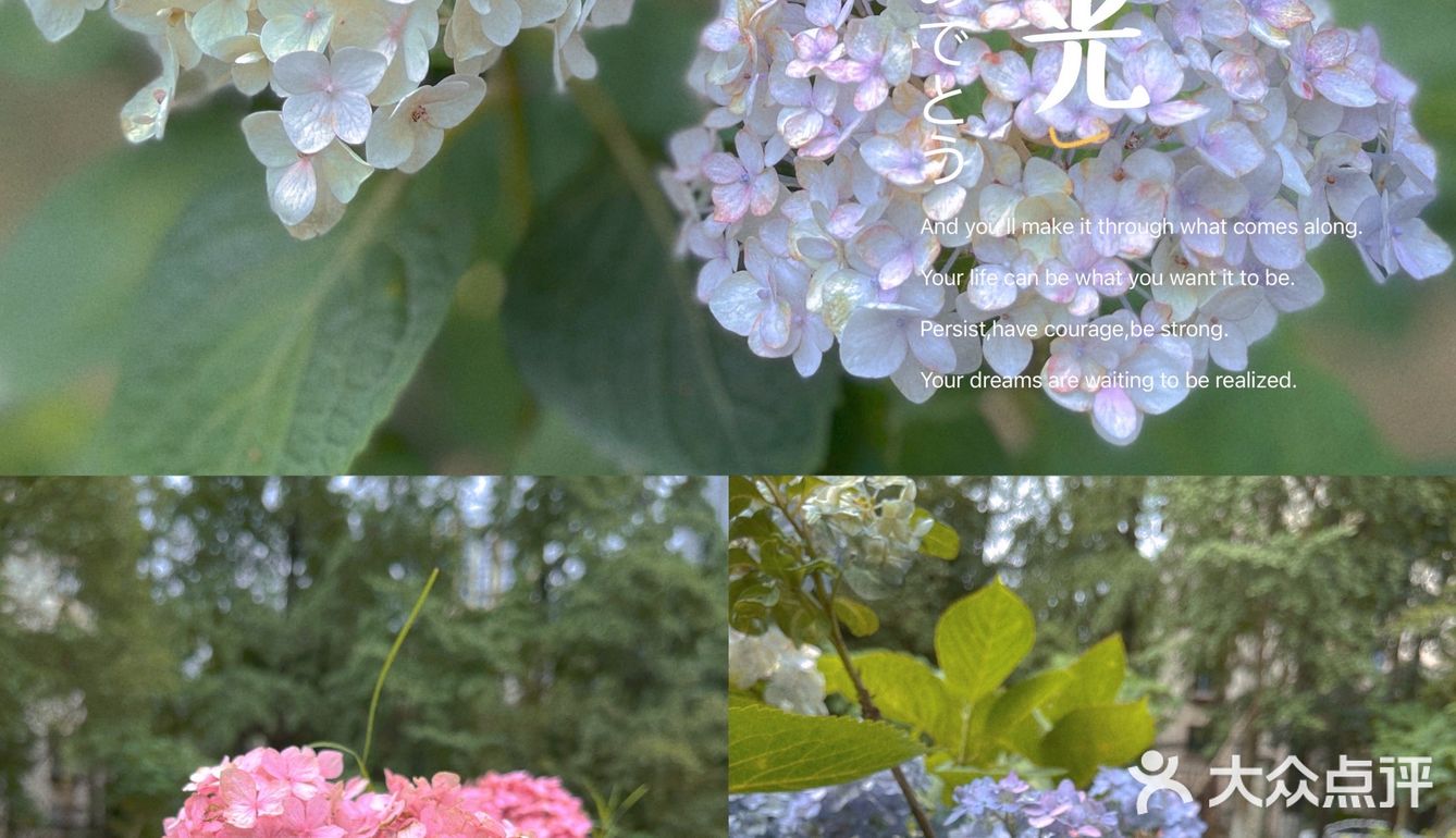 成都|遛娃|拍照📷|约会还不知道去哪吗？塔子山⛲️公园