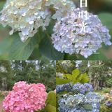 成都|遛娃|拍照📷|约会还不知道去哪吗？塔子山⛲️公园