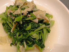 -老吉士酒家(丁香国际店)
