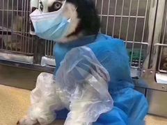 -白云山索道-售票处