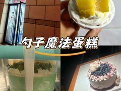 -维尔纳斯·生日蛋糕·动物奶油冰淇淋蛋糕(六里桥店)