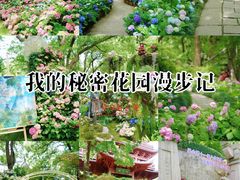 -吴山景区