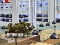 -合景·悠方(成都店)