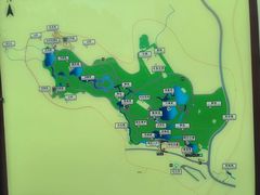 -习家池