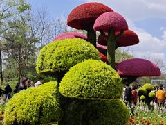-沈阳植物园