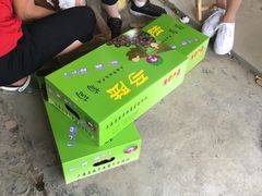 -马陆小张葡萄园农家乐