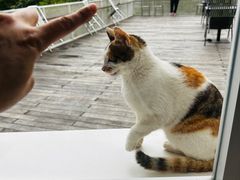 -原乡芦茨咖啡