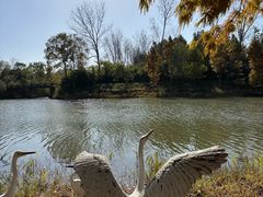 -溱湖国家湿地公园