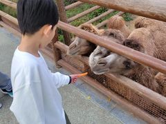 -太原动物园