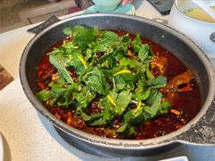 -黔渔翁豆花渎鱼(喷水池店)