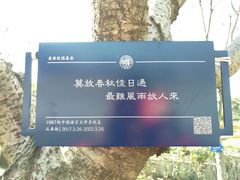 -复旦大学光华楼