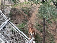 -石家庄市动物园