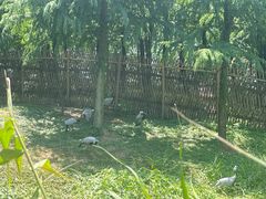 -宁波杭州湾国家湿地公园