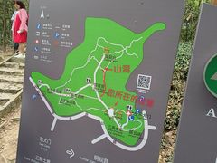 -上海佘山国家森林公园天马山园