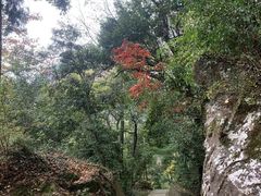 -雁荡山灵峰景区