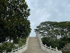 -顺峰山公园