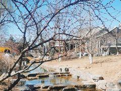 -三里河公园