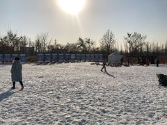 -绿野森林乐园冰雪季