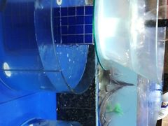 -船家渔(徐州北路店)