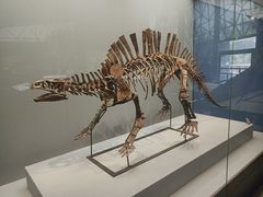 -湖南省地质博物馆