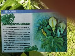 -中国科学院西双版纳热带植物园