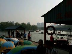 -迎泽公园