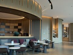 -东方美谷JW万豪酒店·The lounge大堂吧