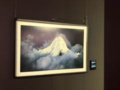 -罗红摄影艺术馆