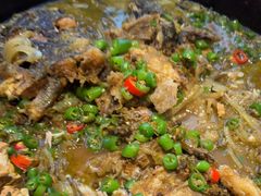 -老板恋上鱼(恒隆广场店)