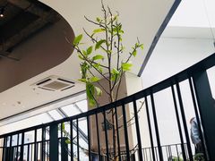 -大树餐厅(红旗街万达店)